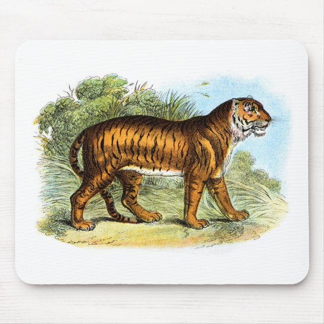 Vintage Tiger Illustration Mousepad Musmatta (Framsidan)