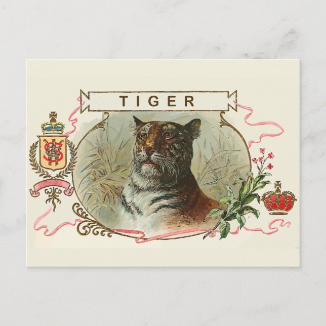 Vintage Tiger Vykort (Framsida)