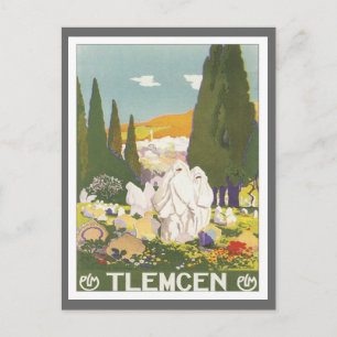 Vintage Tlemcen Algeriet Vykort