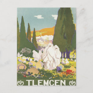 Vintage Tlemcen Algeriet Vykort