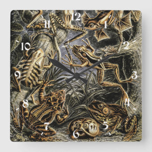 Vintage Toads and Frogs av Ernst Haeckel Fyrkantig Klocka