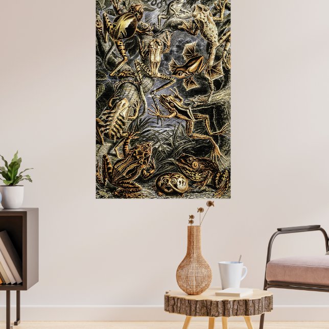 Vintage Toads and Frogs av Ernst Haeckel Poster (Vardagsrum 3)