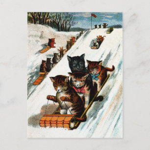 Vintage Toboggan Cats Vykort