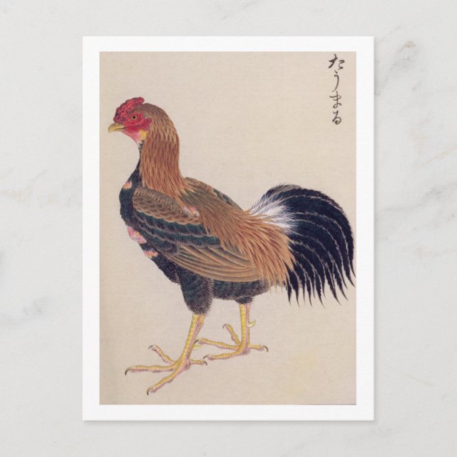 Vintage: Tomaru Vykort (Framsida)