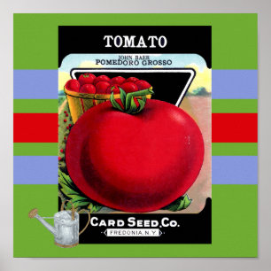 Vintage Tomato Seed Poster