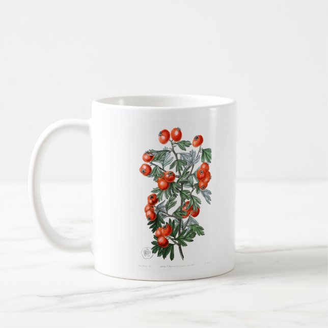 Vintage Tomato Vine Illustration Kaffemugg (Vänster)