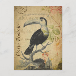 Vintage Toucan Bird Rosa ros Blommigt Fransk Vykort