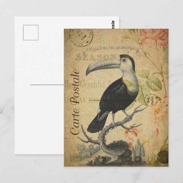 Vintage Toucan Bird Vykort (Fram/baksida)