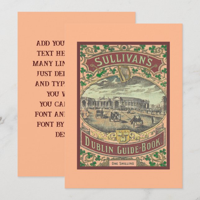 Vintage Tourist Guide to Dublin Ireland (Fram/baksida)