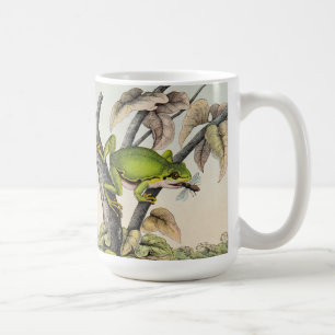 Vintage Träd Frog & Fly Kaffemugg