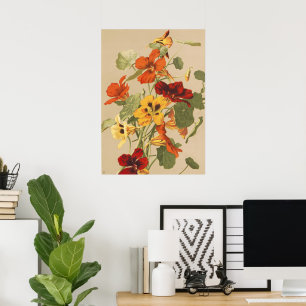 Vintage trädgårdskonst med blommande nasturtium bo poster