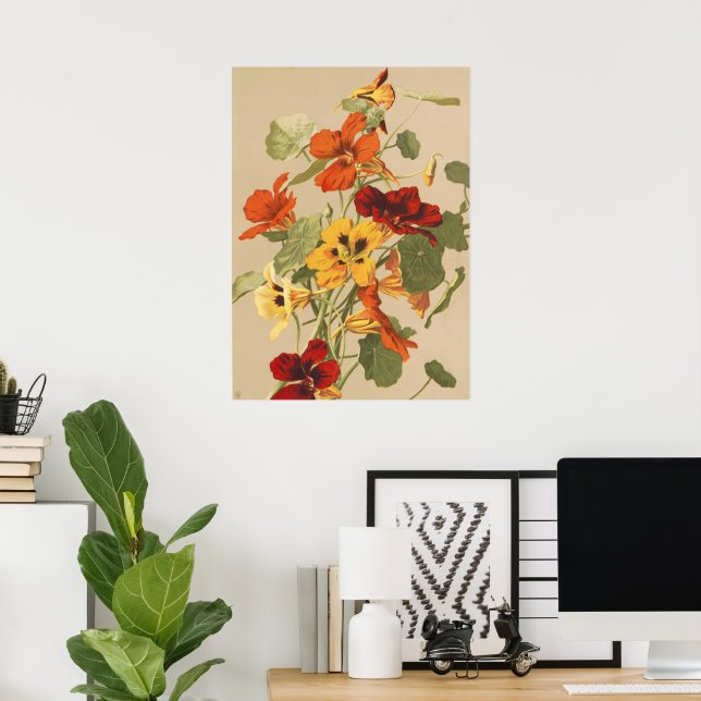 Vintage trädgårdskonst med blommande nasturtium bo poster (Hemmakontoret)