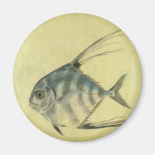 Vintage Trådsfinad Trevally, Afrikansk Pompano Fis Magnet