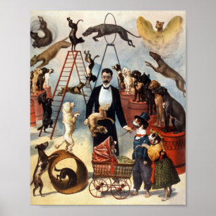 Vintage Traed Circus Hund Act Trick Hundar 1899 Poster