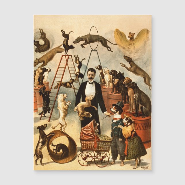 Vintage Trained Circus Dog Act Trick Dogs1899 Post (Framsida)