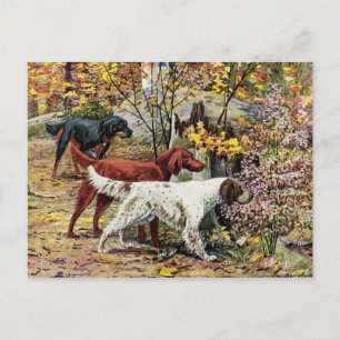 Vintage Tre Irish Setters Vykort