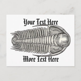 Vintage Trilobit vykort