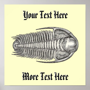 Vintage Trilobite-utskrift Poster
