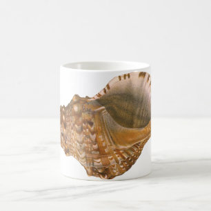 Vintage Triton Seashell Snäcka, Marine Ocean Anima Kaffemugg