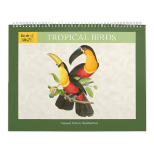 Vintage Tropical Birds Illustrations 2025 Kalender