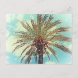 Vintage Tropical Handflatan Träd Vykort