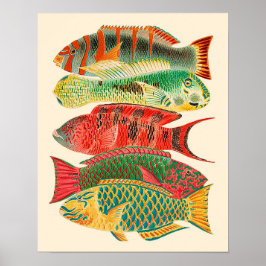 Vintage tropiska havsfiskar poster