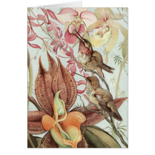 Vintage tropiska orkidéer, blommor och kolibrier hälsningskort