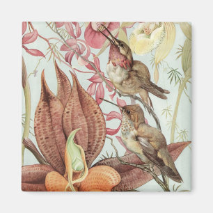 Vintage tropiska orkidéer, blommor och kolibrier magnet