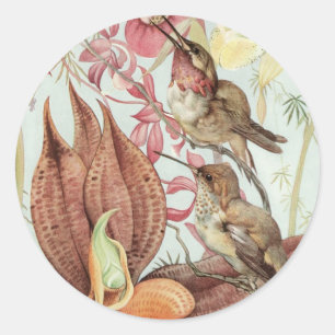 Vintage Tropiska Orkidéer, Blommor och Kolibrier Runt Klistermärke