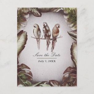 Vintage Tropiska Tiki Fåglar Papegojor Spara Datum Meddelande Vykort