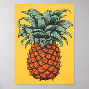 Vintage Tropiskt ananas Poster