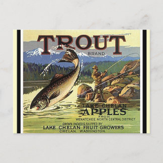 Vintage Trout Brand Fly Fisherman Apples Postcards Vykort