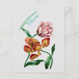 Vintage Tulip Botanical Illustration Vykort