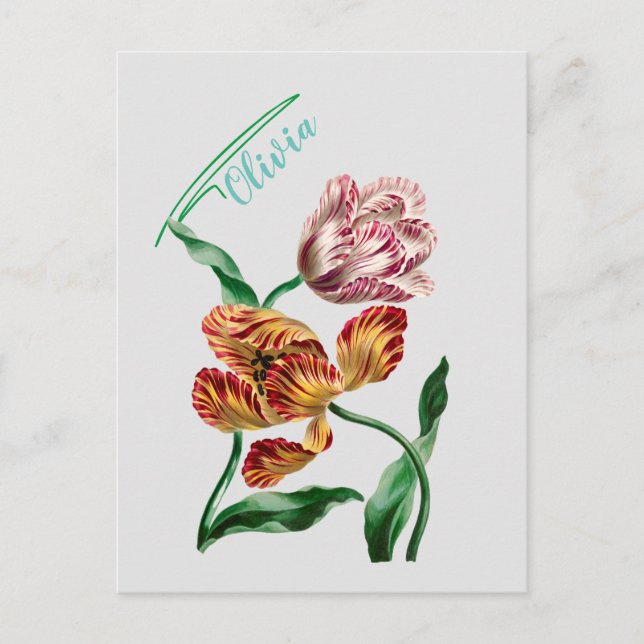 Vintage Tulip Botanical Illustration Vykort (Framsida)
