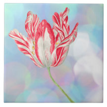 Vintage Tulip Ceramic Tile