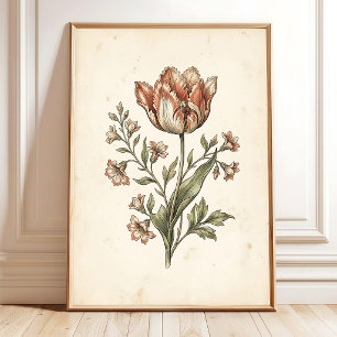 Vintage Tulpan Papegoja Botanisk Galleri Konst Poster