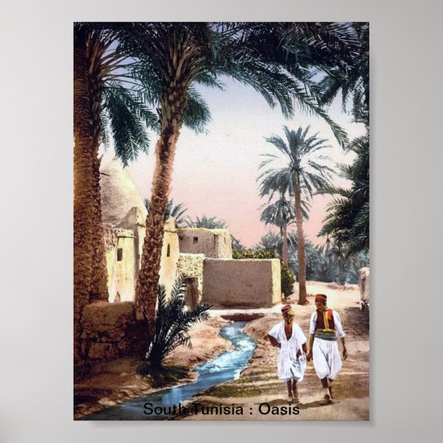Vintage Tunisien: An Oasis Poster (Framsidan)