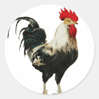 Vintage Tupp Chicken Customize Animal best Runt Klistermärke