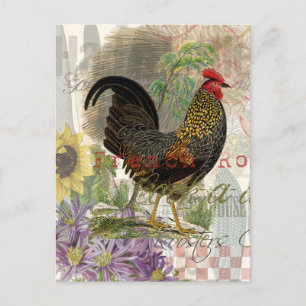Vintage Tupp Fransk Collage Farm Pet Vykort