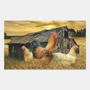 Vintage Tupp Hens Rustic Barn Coop Rektangulärt Klistermärke