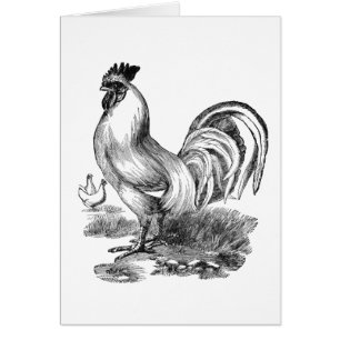 Vintage tupp illustration hälsningskort