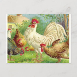 Vintage Tupp och Chickens Vykort