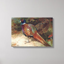 Vintage Tupp och Hen Pheasant Canvastryck