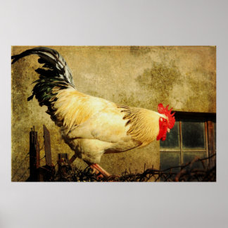 Vintage Tupp Poster