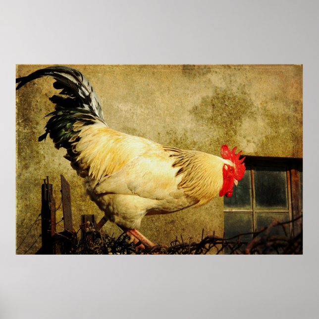 Vintage Tupp Poster (Framsidan)