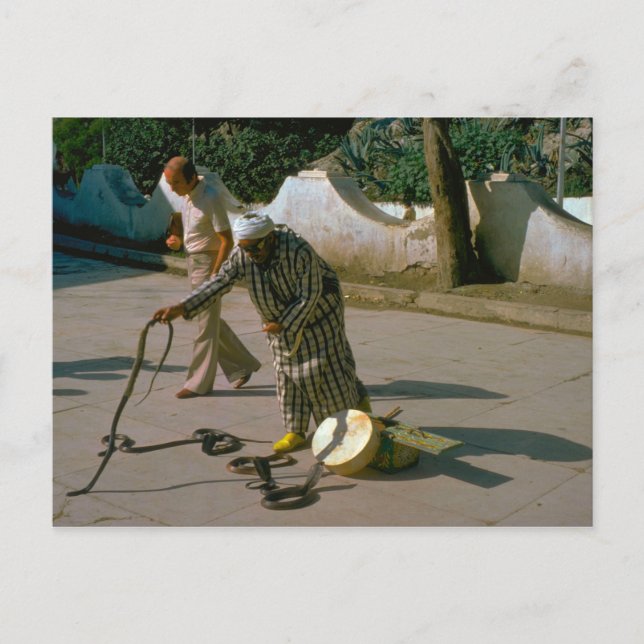 Vintage Turkiet - Istanbul Snake charmer Vykort (Framsida)