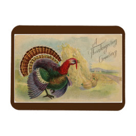 Vintage Turkiet Magnet