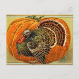 Vintage Turkiet Thanksgiving Vykort
