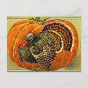 Vintage Turkiet Thanksgiving Vykort