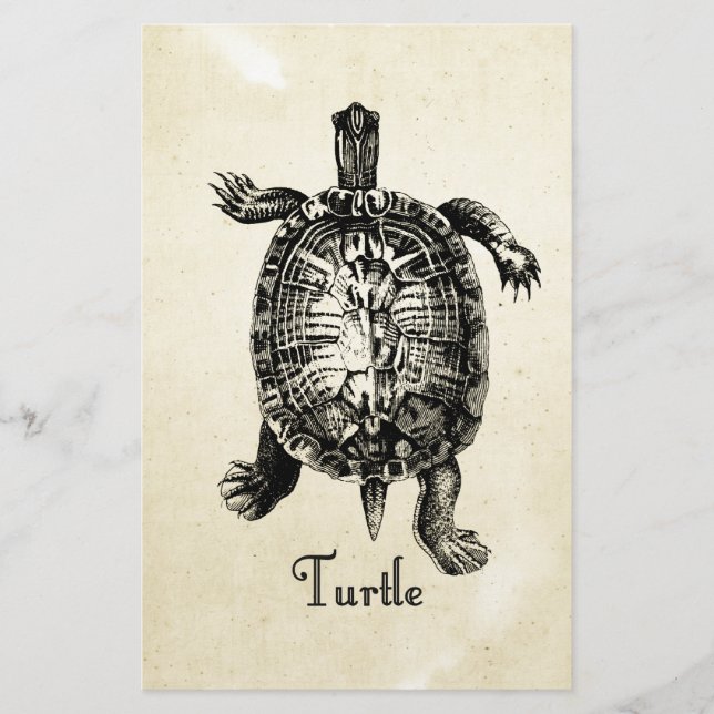 VINTAGE TURTLE BREVPAPPER (Framsida)